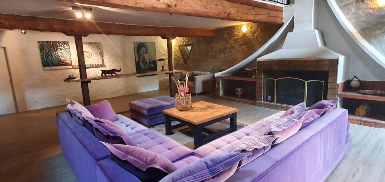 Gite De 420 Metres Carres Dans Chateau L'Ange Au Violon Jusqu'A 13 Couchages Conques-sur-Orbiel Екстериор снимка