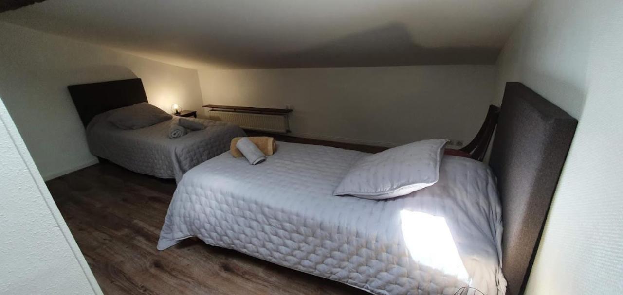 Gite De 420 Metres Carres Dans Chateau L'Ange Au Violon Jusqu'A 13 Couchages Conques-sur-Orbiel Екстериор снимка