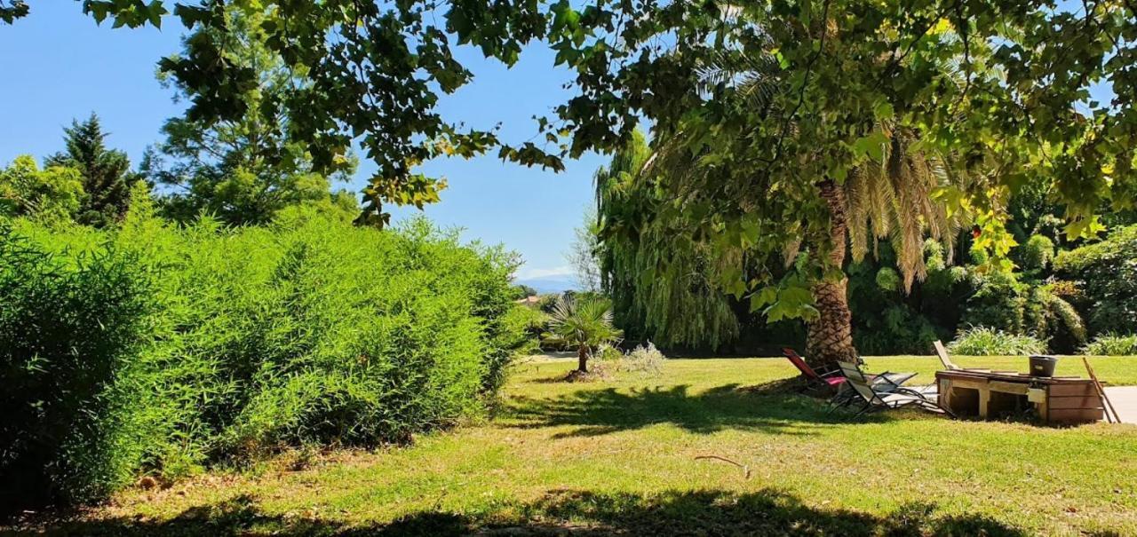 Gite De 420 Metres Carres Dans Chateau L'Ange Au Violon Jusqu'A 13 Couchages Conques-sur-Orbiel Екстериор снимка